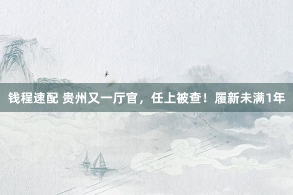 钱程速配 贵州又一厅官，任上被查！履新未满1年