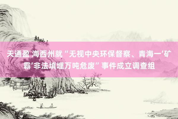 天通盈 海西州就“无视中央环保督察、青海一‘矿霸’非法填埋万吨危废”事件成立调查组