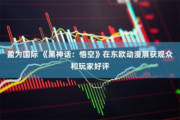 盈为国际 《黑神话：悟空》在东欧动漫展获观众和玩家好评