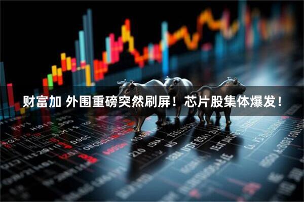 财富加 外围重磅突然刷屏！芯片股集体爆发！