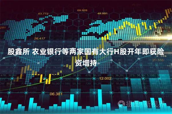 股鑫所 农业银行等两家国有大行H股开年即获险资增持