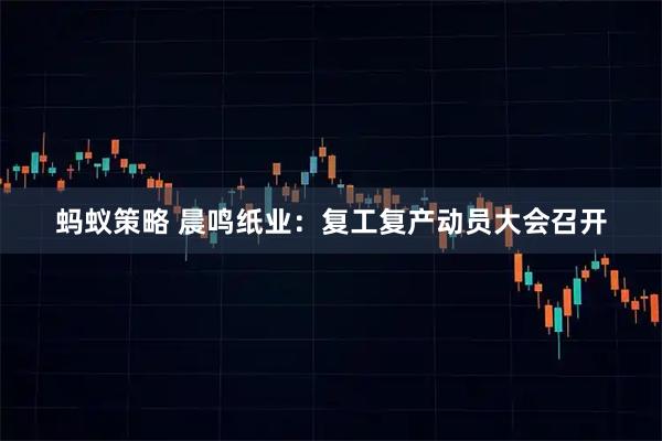 蚂蚁策略 晨鸣纸业：复工复产动员大会召开